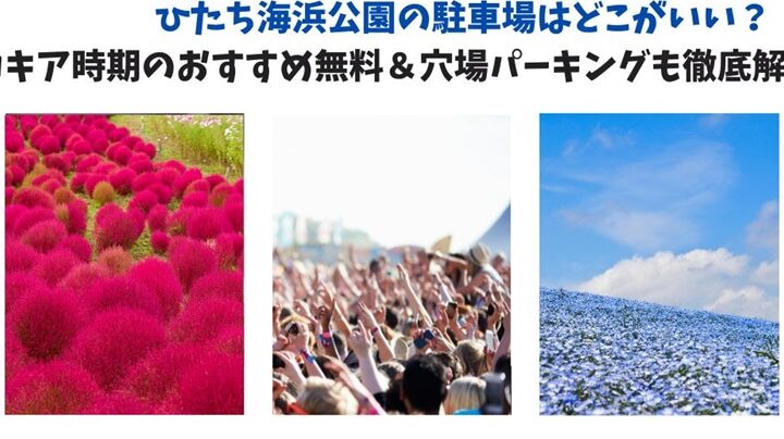 ひたち海浜公園の駐車場はどこがいい？特徴と料金情報