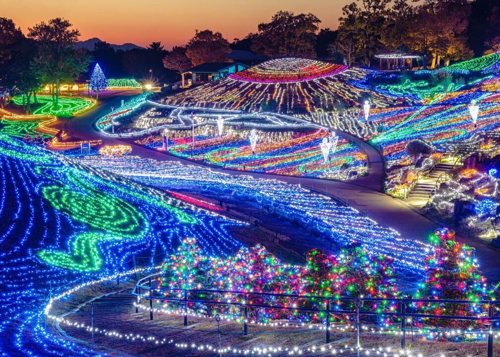 e381bee38293e381aee38186e585ace59c92e382a4e383abe3839fe3838de383bce382b7e383a7e383b3e381afe38184e381a4e381bee381a7e9968be582ace38195 まんのう公園イルミネーションはいつまで開催されるか