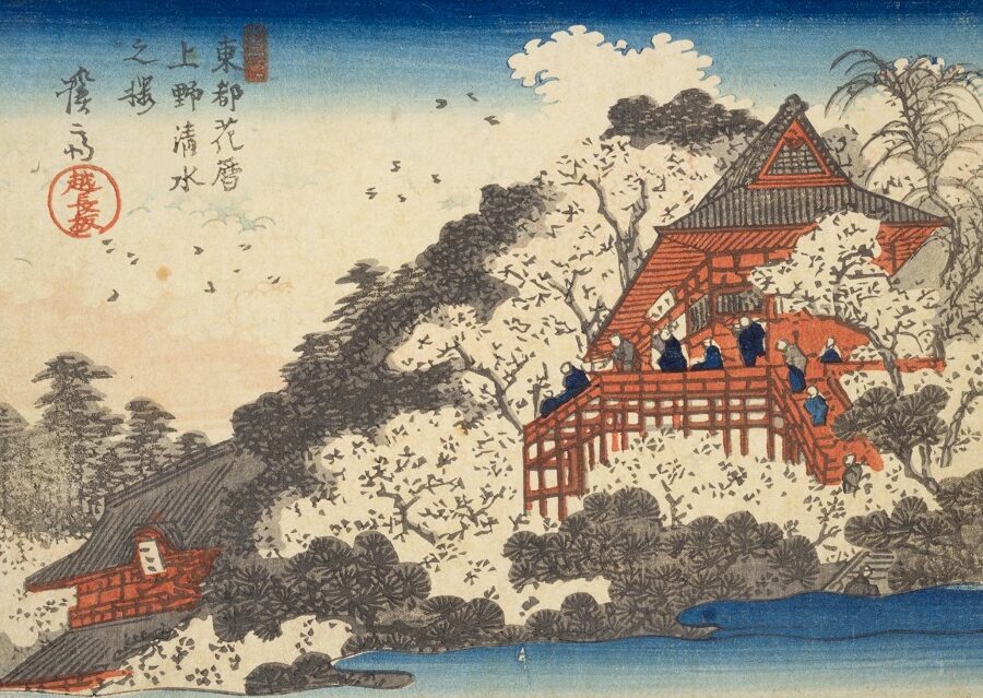 上野公園の桜はどこから来たのかを解説