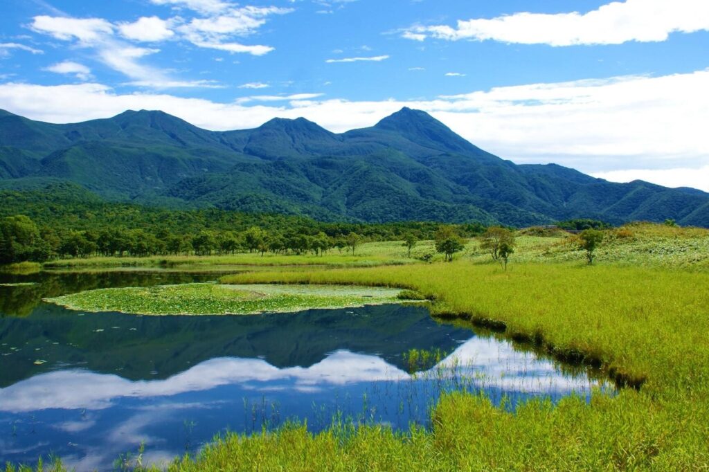 国営公園とは何か？その特徴と目的を解説