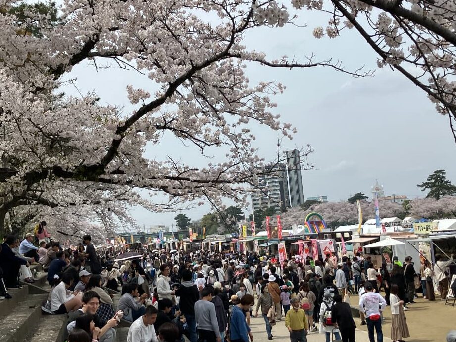 e5b2a1e5b48ee585ace59c92e381aee88ab1e8a68be381a8e5b18be58fb0e381afe38184e381a4e381bee381a7e6a5bde38197e38281e3828befbc9f 岡崎公園の花見と屋台はいつまで楽しめる?