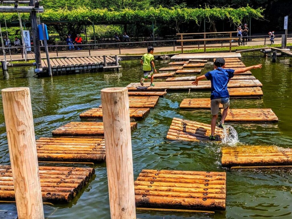 清水公園の水上アスレチックは何歳から利用可能？