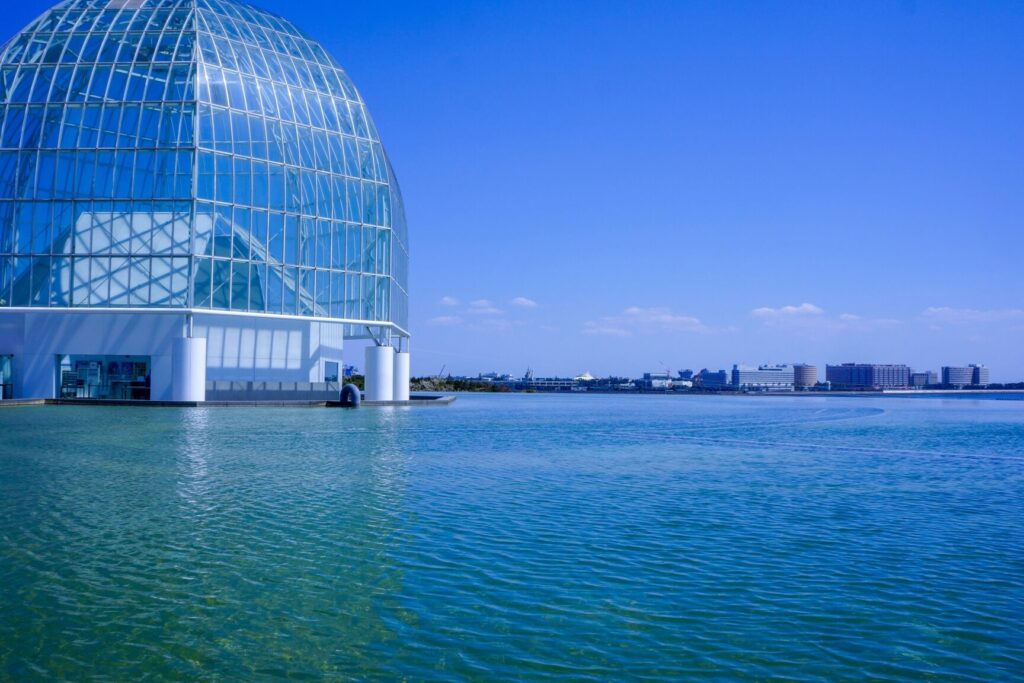 葛西臨海公園水族館には何がいるのか詳しく紹介