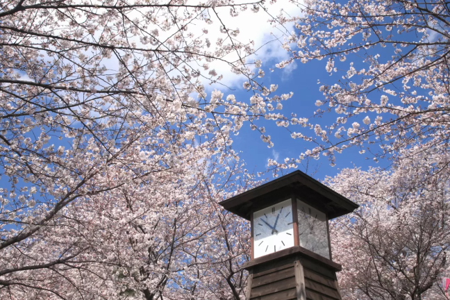 e9a39be9b3a5e5b1b1e585ace59c92e381aee585a5e59c92e69699e381afe38184e3818fe38289e381a7e38199e3818befbc9fe8a9b3e7b4b0e38292e8a7a3e8aaac 飛鳥山公園の入園料はいくらですか?詳細を解説